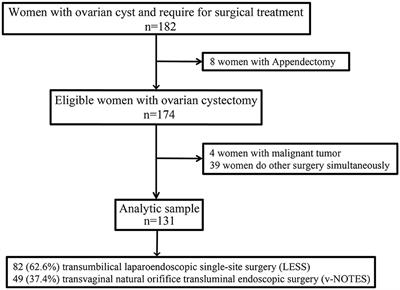 Transvaginal natural orifice endoscopic surgery for ovarian cystectomy: a more suitable surgical approach for the day-care procedure